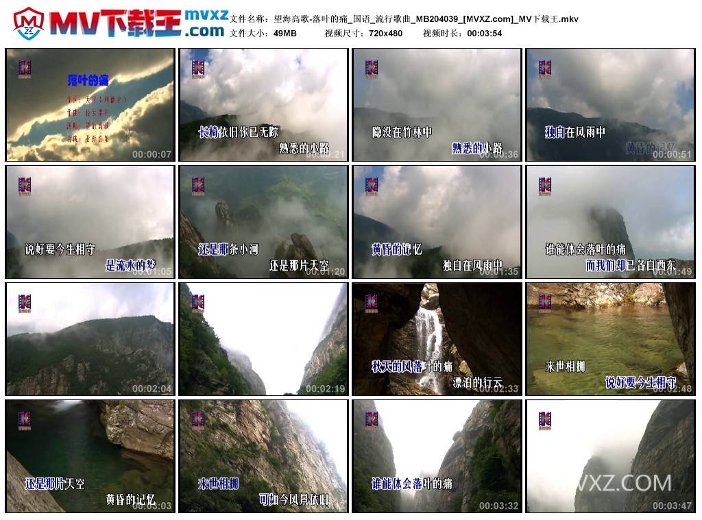望海高歌-落叶的痛_国语_流行歌曲_MB204039